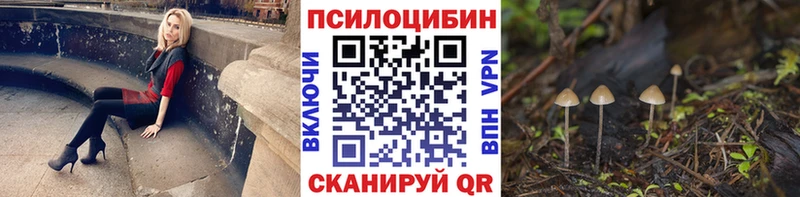 Галлюциногенные грибы мицелий  Весьегонск 
